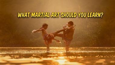 What Martial Arts Should I Learn: Complete Guide to Choosing Your Perfect Fighting Style