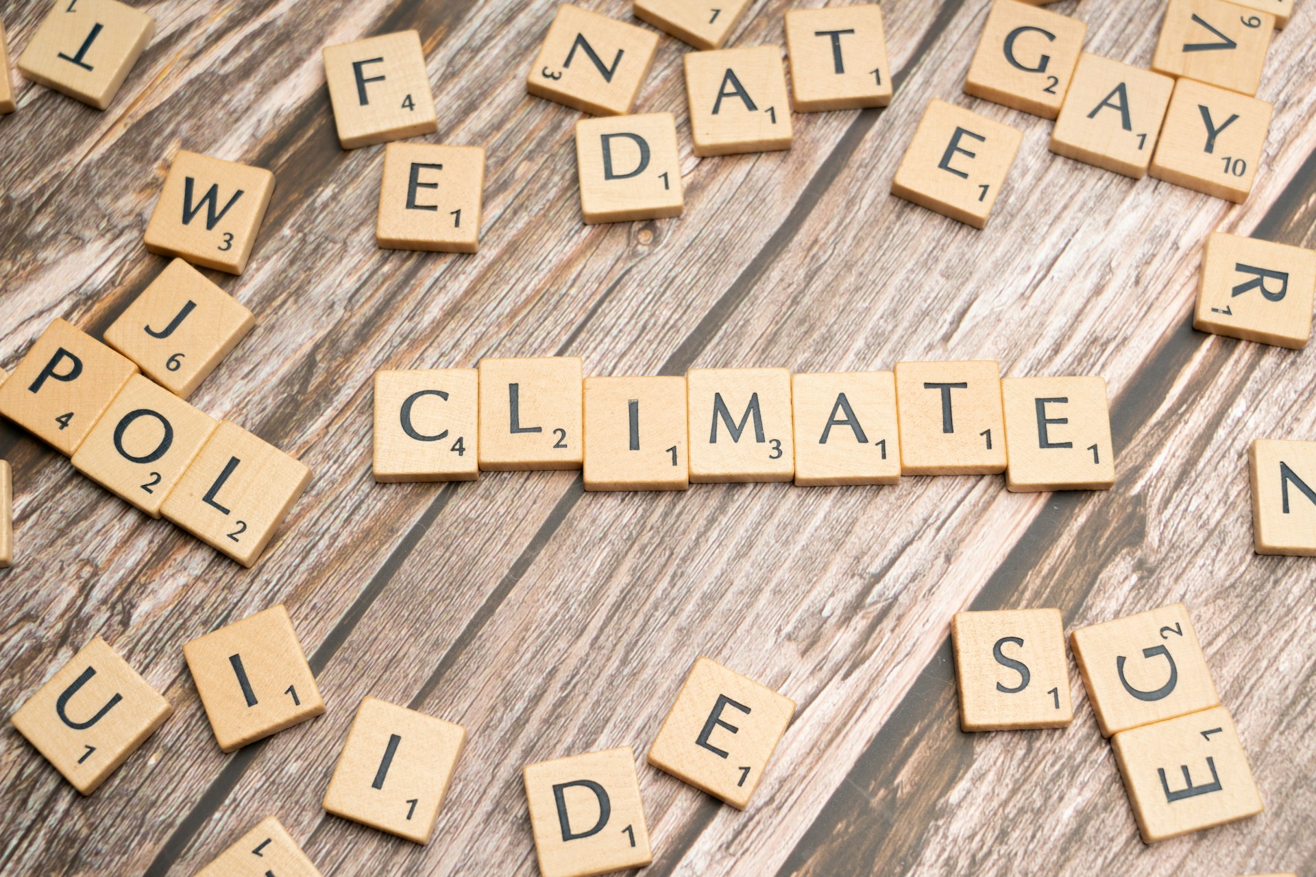 Navigating Climate Finance and Transition Risk: Strategies for a Low-Carbon Future