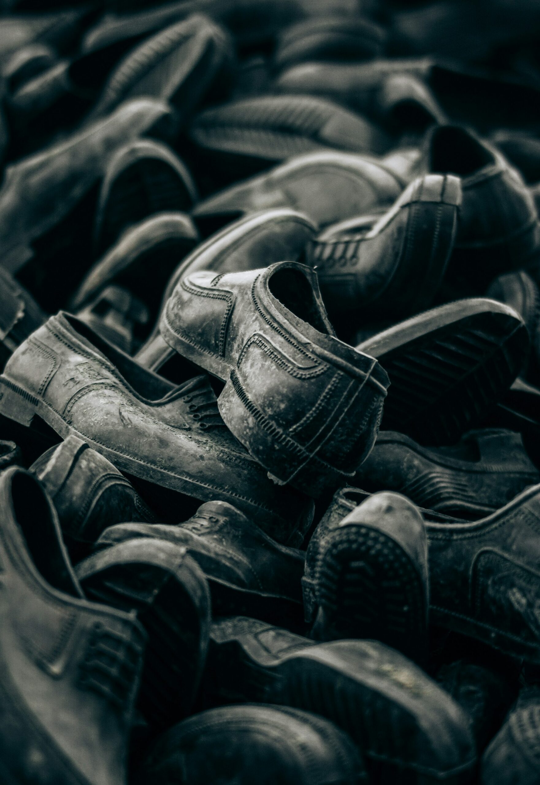Transforming Performance: Sustainable Materials in Modern Sports Footwear