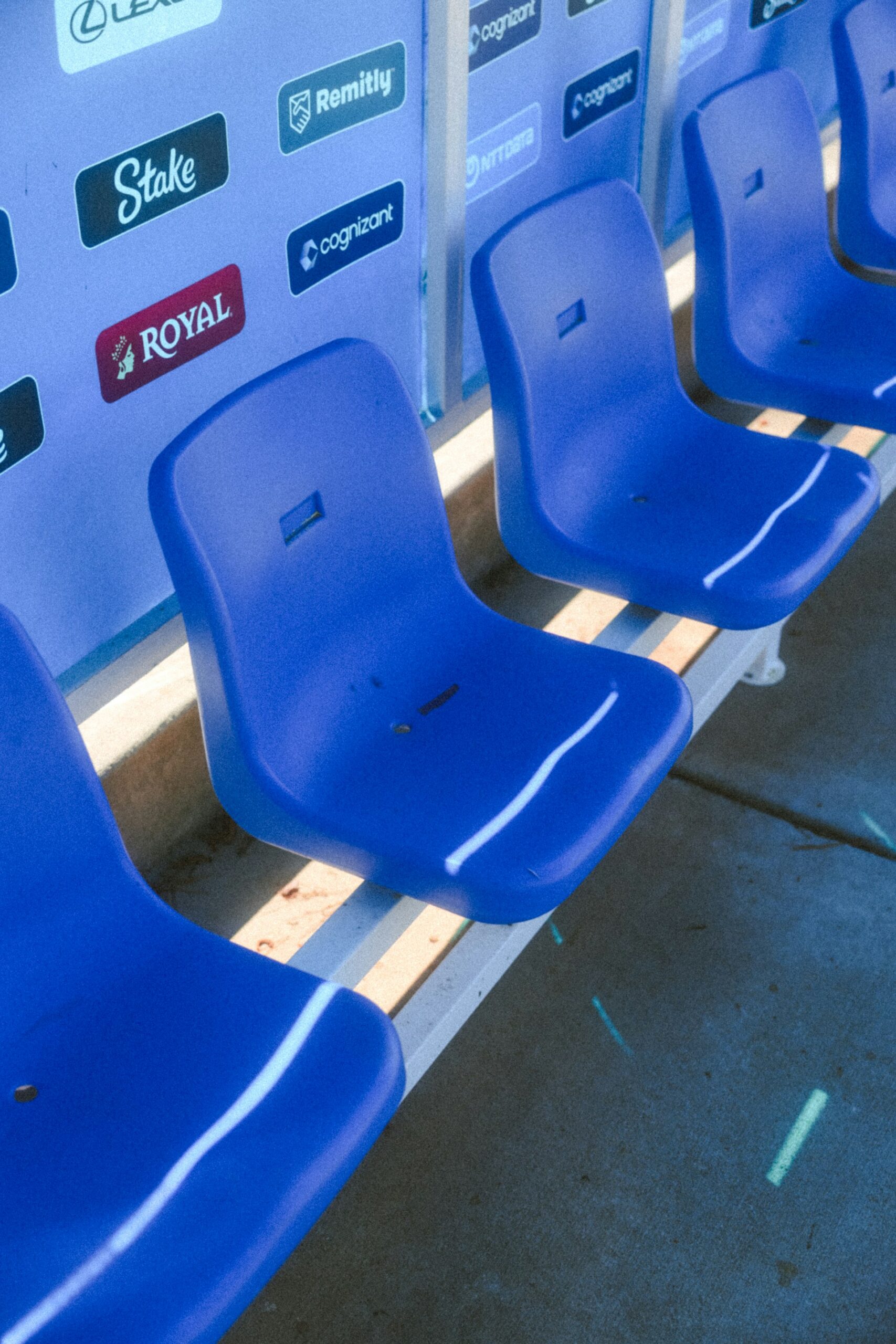 Transforming Stadiums: The Future of Personalized Fan Experiences