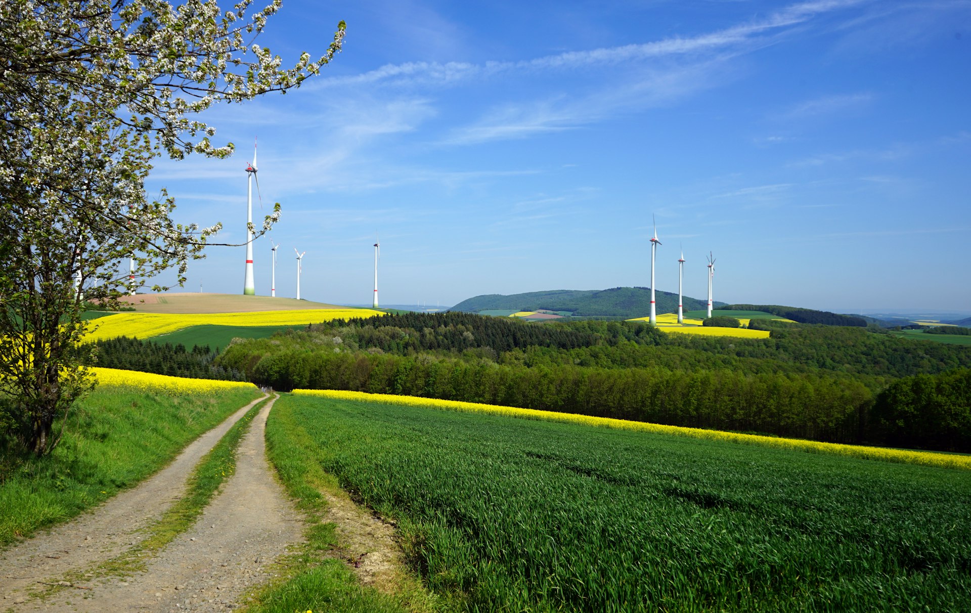 Unlocking the Full Value of Renewable Energy Storage: Reliability, Savings, and Sustainability
